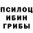 Галлюциногенные грибы мицелий Firecake e