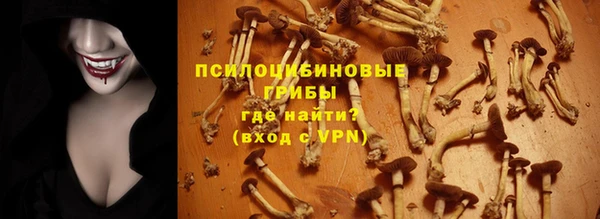 героин Алексин