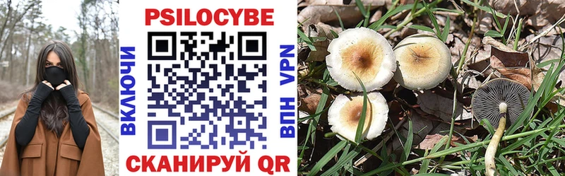 Галлюциногенные грибы Cubensis  Магадан 