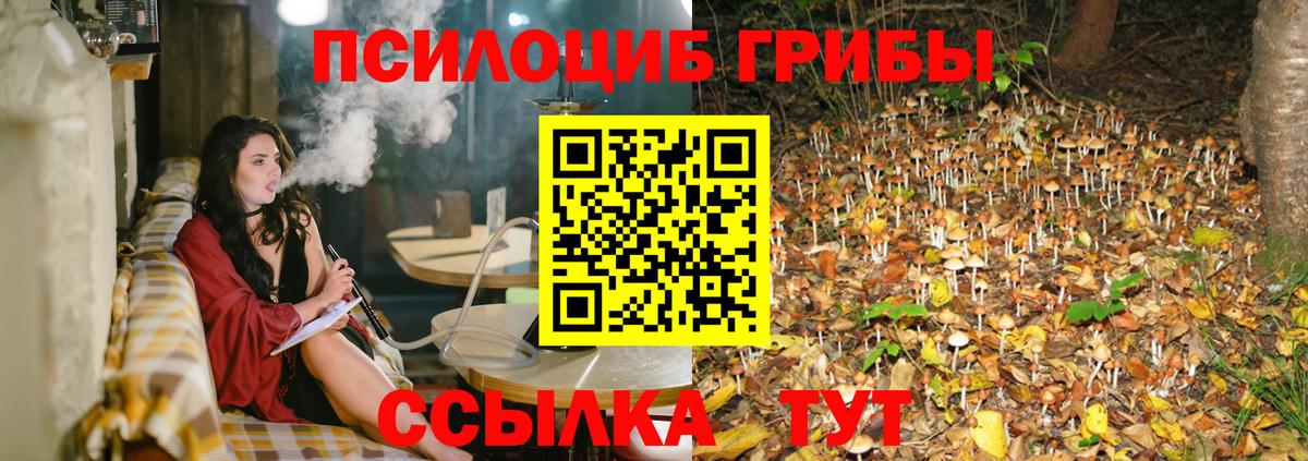 Галлюциногенные грибы Magic Shrooms  Вход с VPN  где купить   Магадан  Галлюциногенные грибы Cubensis 